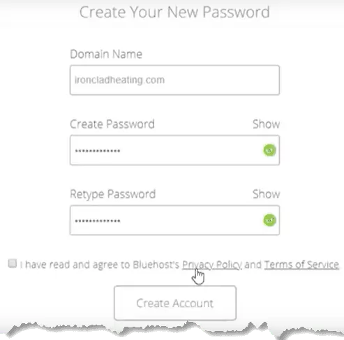 Set your password and agree to terms