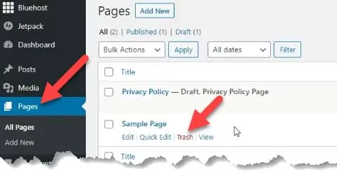 Wordpress Delete Sample Page