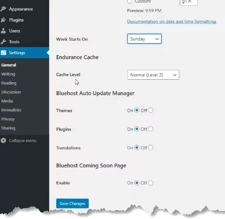 Wordpress General Settings 2