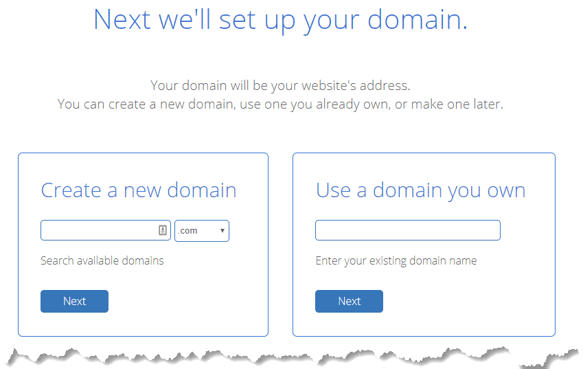 Enter Your Domain Name