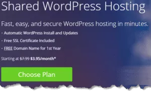 BlueHost WordPress Hosting Features